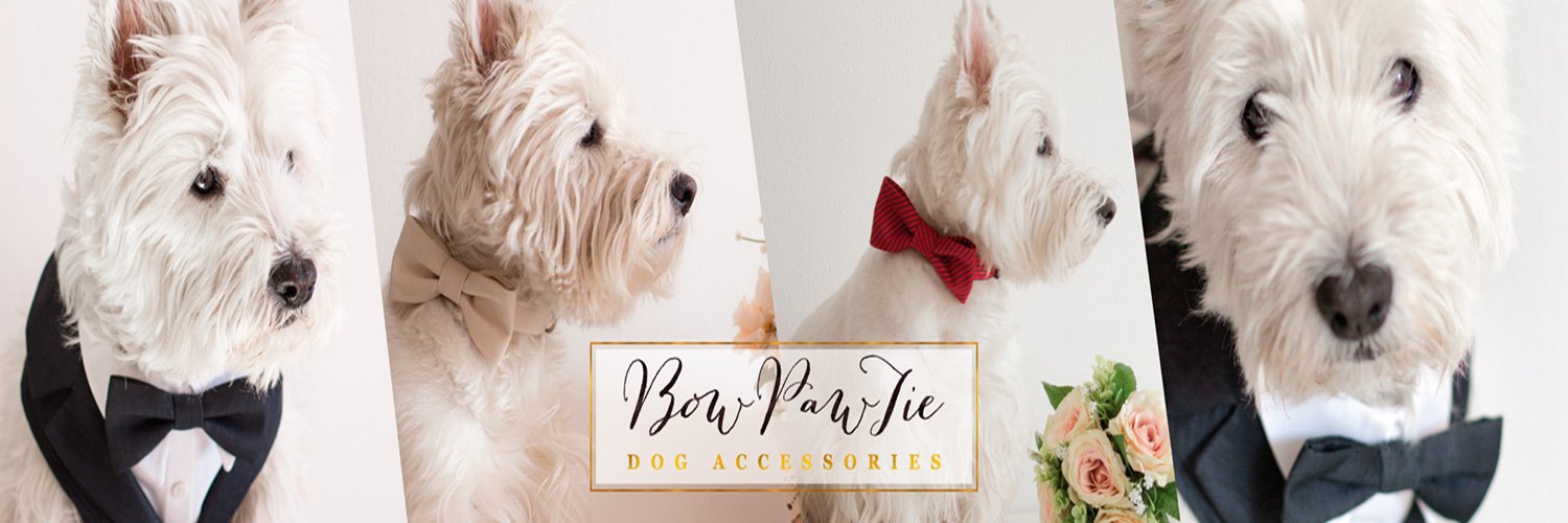 bowpawtie's profile banner image