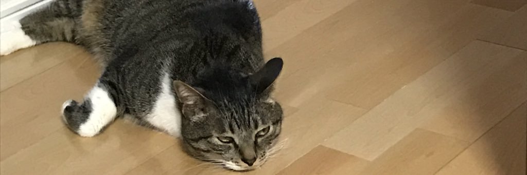 maamochama's profile banner image
