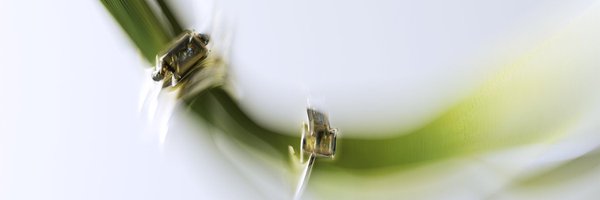 anoukiap Profile Banner