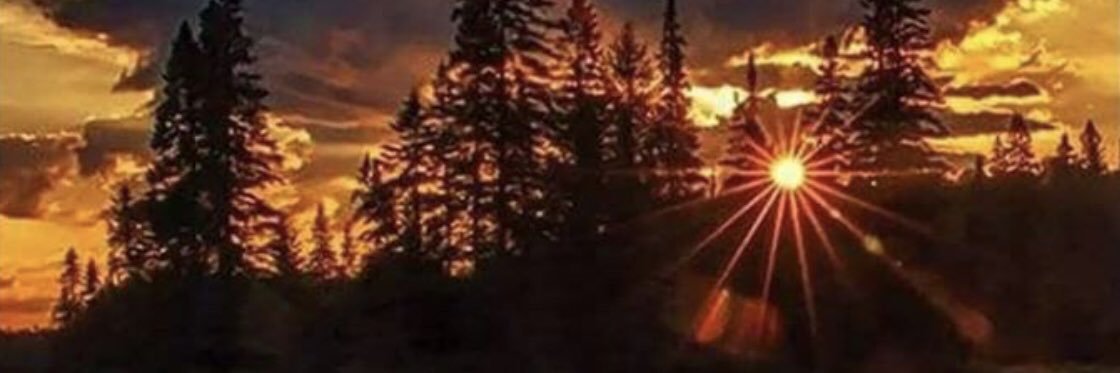 tlintonbailey10's profile banner image