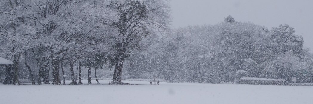 百恵　マエノリュウタ banner