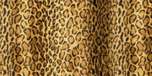 ranyqueenshe's profile banner image