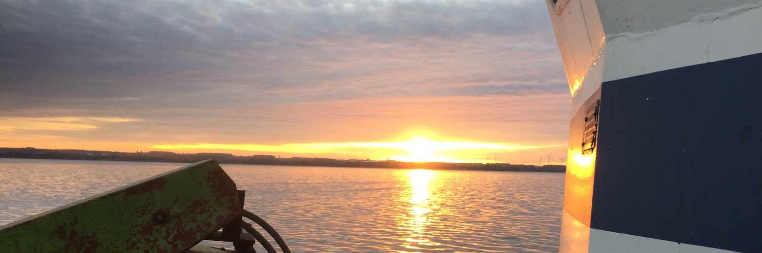 SS Minnow banner