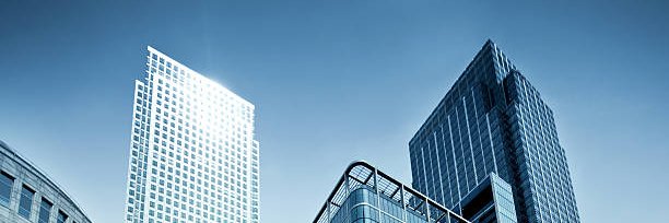 Camila Burnesco banner