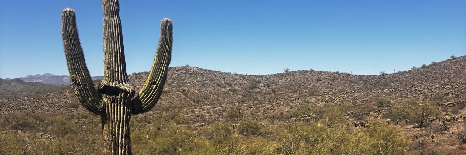 Stephanie Duprey banner