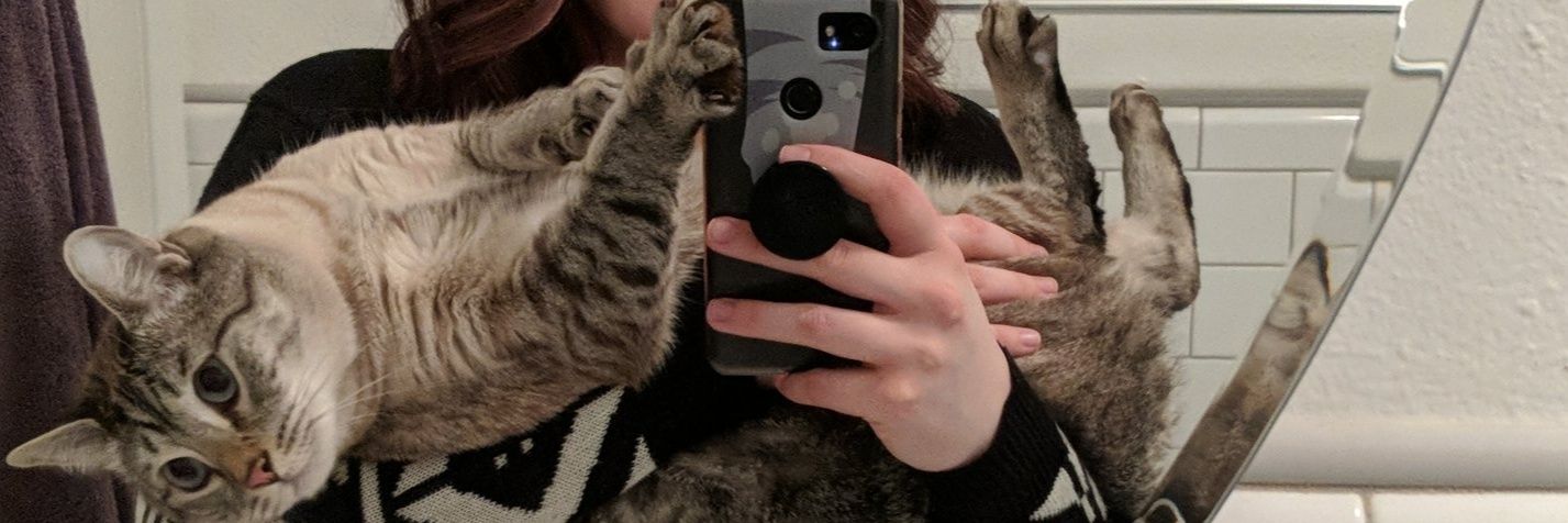 pibblesplz's profile banner image