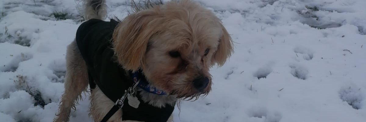 Holly1907's profile banner image