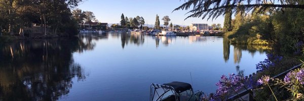 rowie_nz Profile Banner