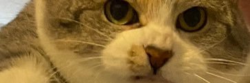KennyLeask's profile banner image