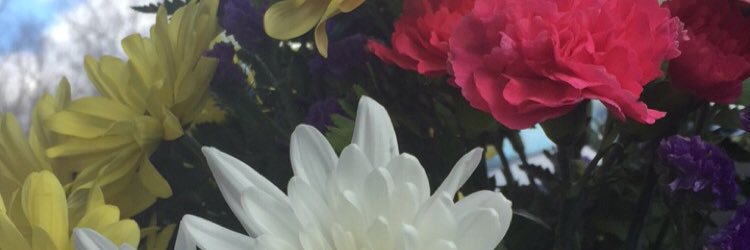 lesholbrook's profile banner image