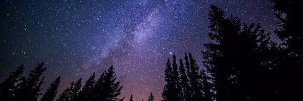 NoctisAmplexus Profile Banner