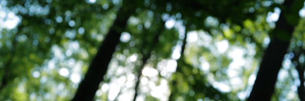 sidyadav Profile Banner