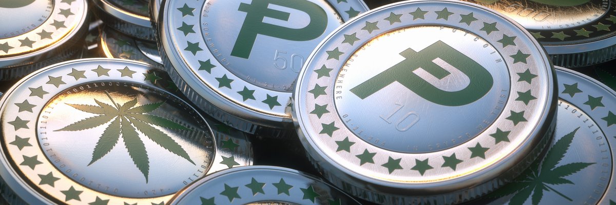 P0TCOIN's profile banner image