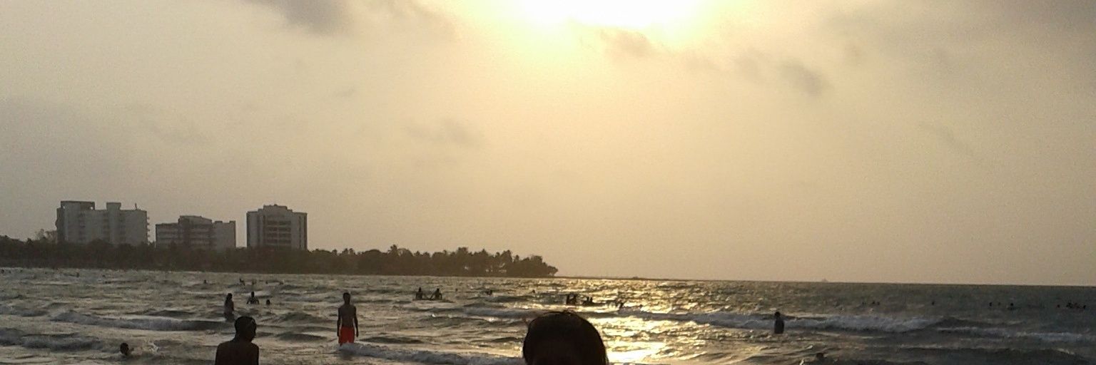 lidama29's profile banner image