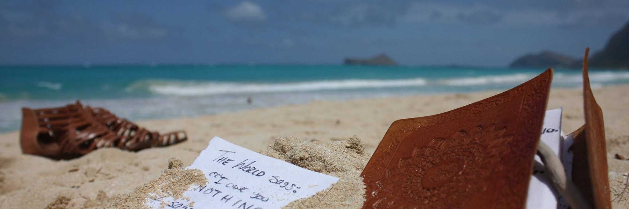 MirandaKrogstadPoet banner