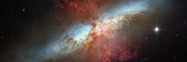 danf Profile Banner