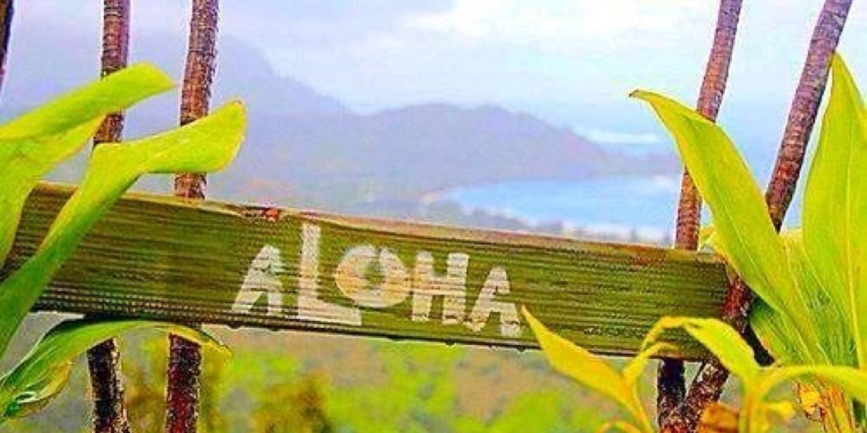 AlohaJunkie's profile banner image