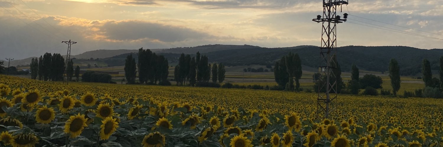HanifeSiveroglu's profile banner image