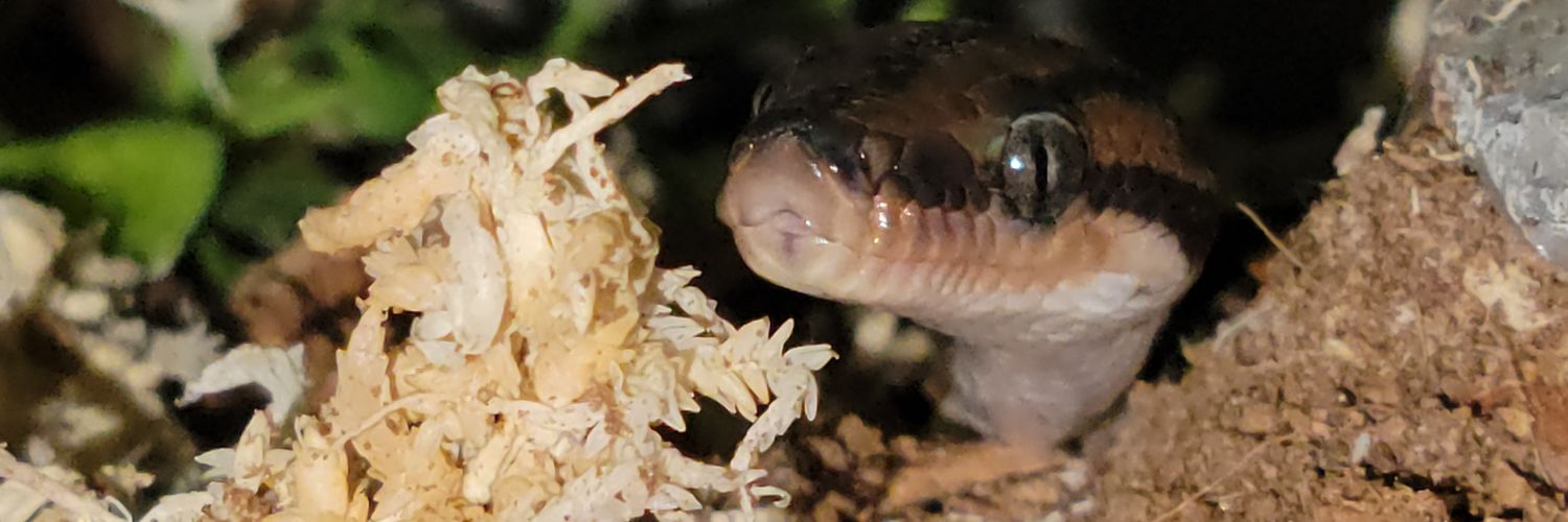 KeyKaye ➡️ who knows banner