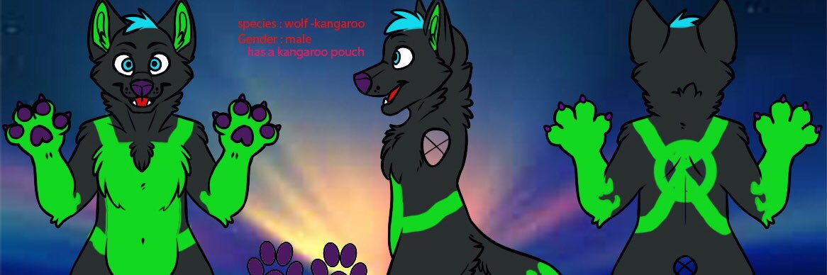 Fluxthewolfaroo's profile banner image