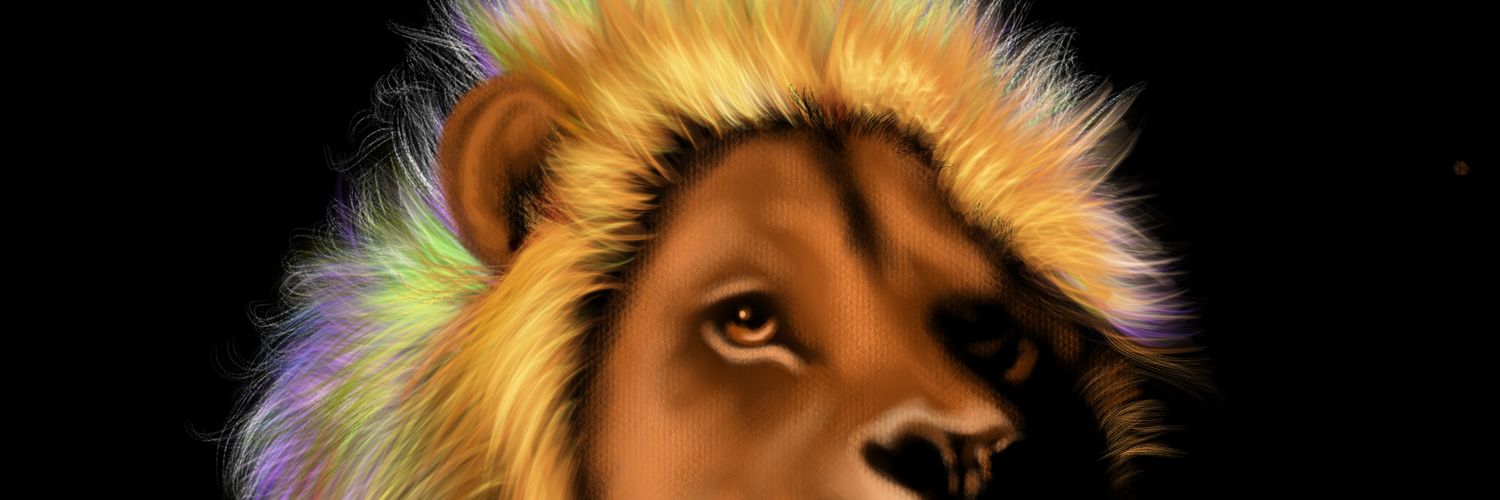 Dani Spoelstra banner