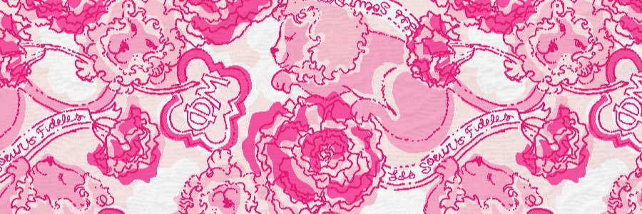 HBU_PhiMu's profile banner image