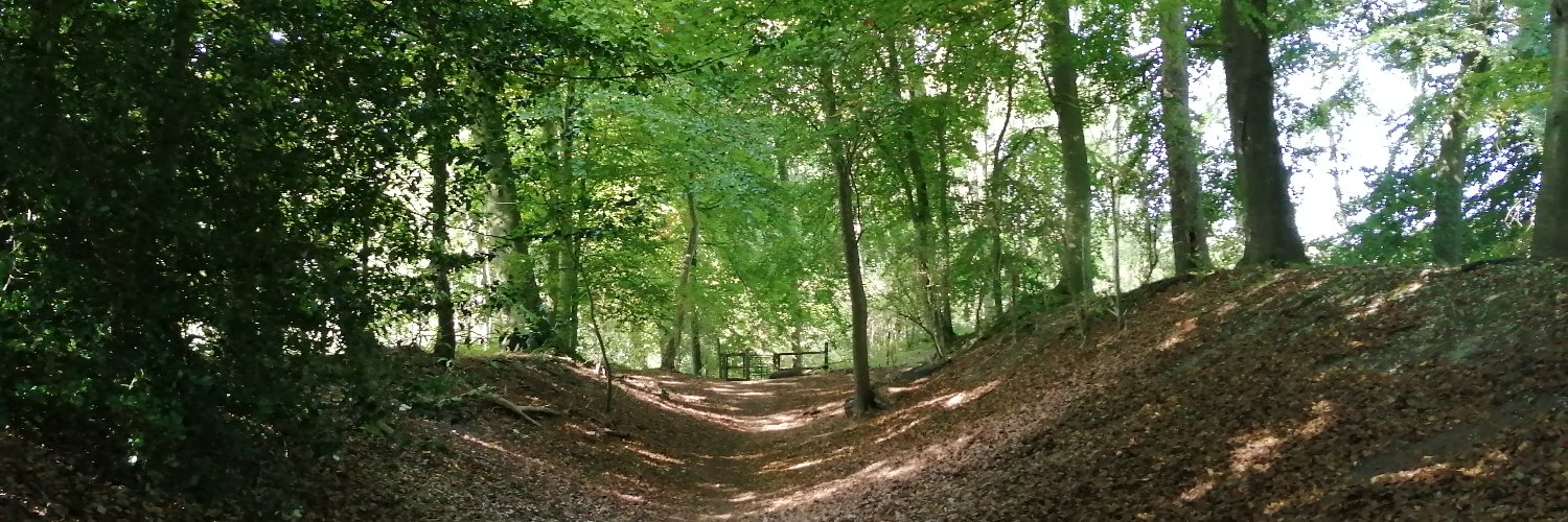 Magical Trevor banner