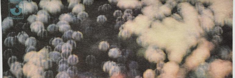 Yury Kochemasov banner