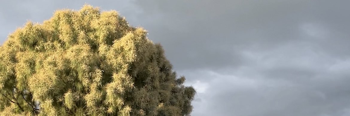 IsmaelLarriva's profile banner image