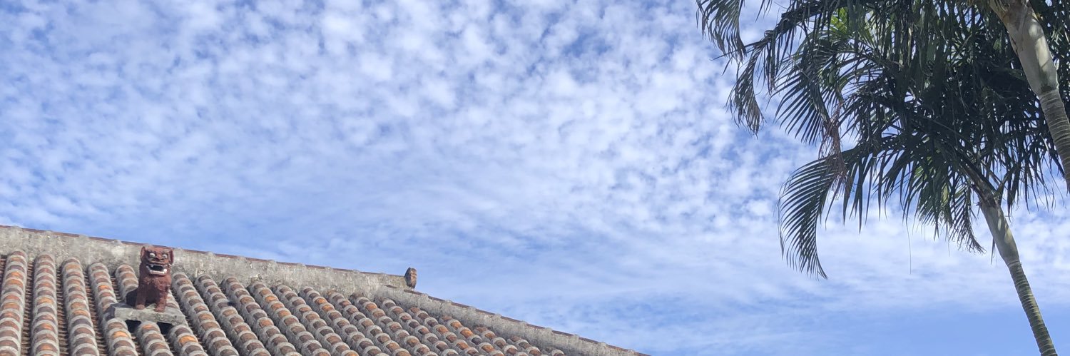 inmnnzm's profile banner image