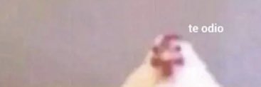 anakey🧚🏻‍♀️💫 banner