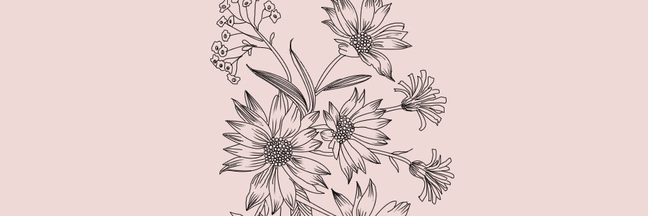 sincerelynancyc's profile banner image