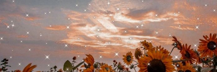 IvielleFlint's profile banner image