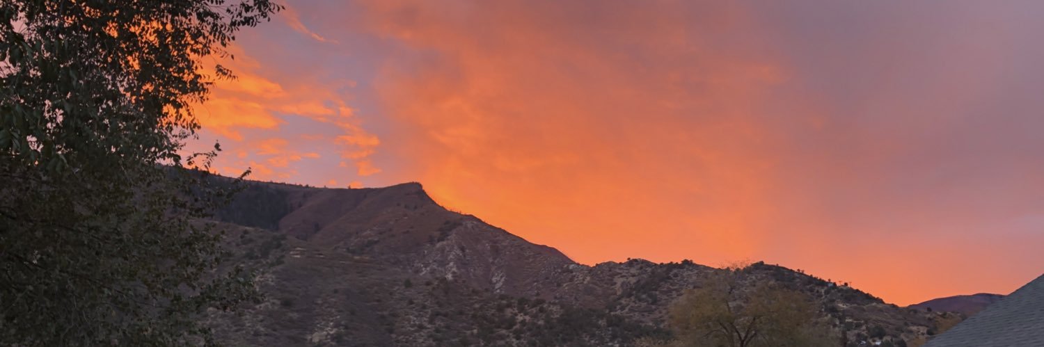 Miranda_Bosler's profile banner image
