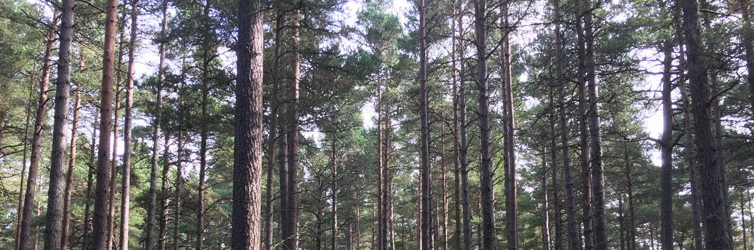 SandJRobinson's profile banner image