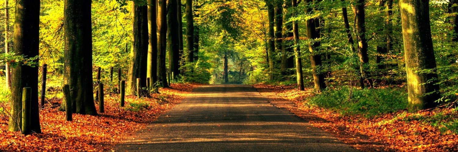 Multiple Sclerosis banner