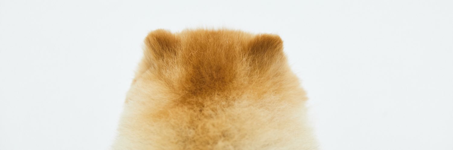Bellevery's profile banner image