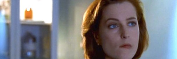 heather aka rbg the tortoise's mum banner