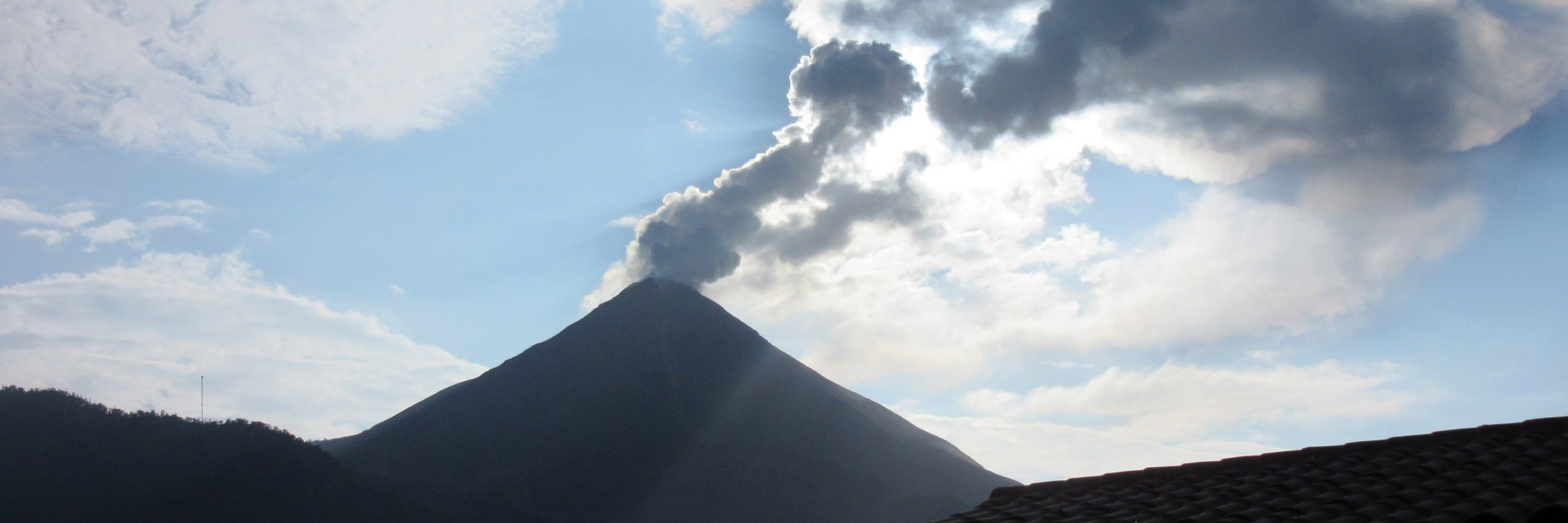 Matthew Gleeson banner