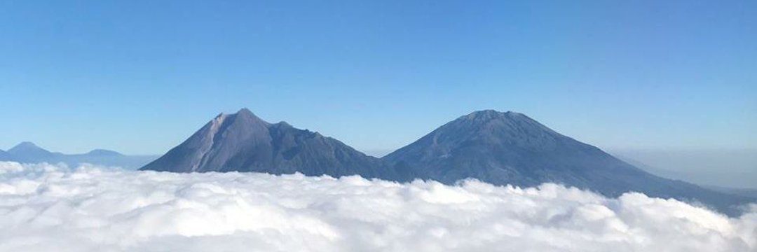 pidilll's profile banner image