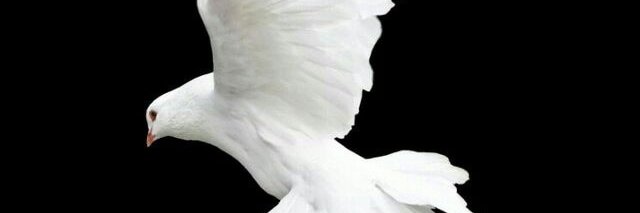 Bta0054's profile banner image
