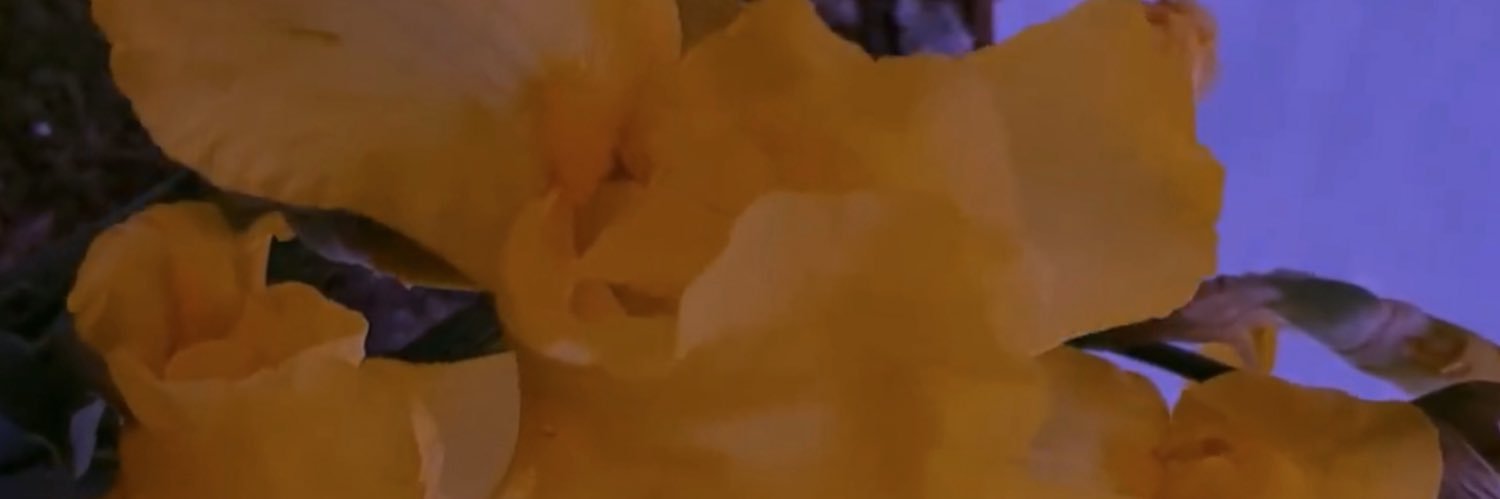 Nadaaaaa banner
