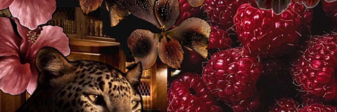 isamaced0's profile banner image