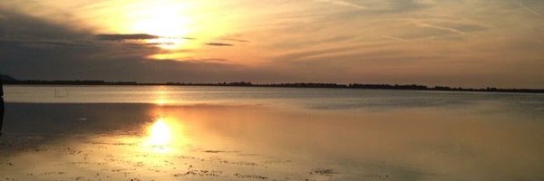 laudelcam Profile Banner