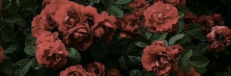 ajiethard's profile banner image