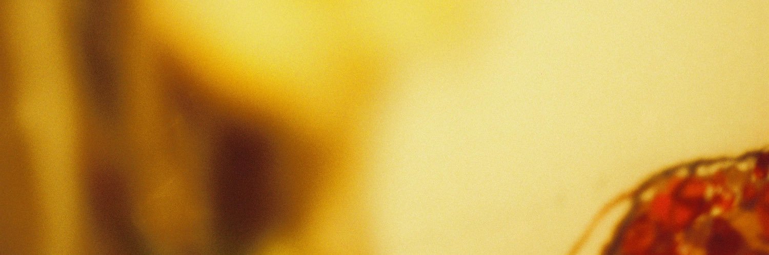hhbk_18's profile banner image
