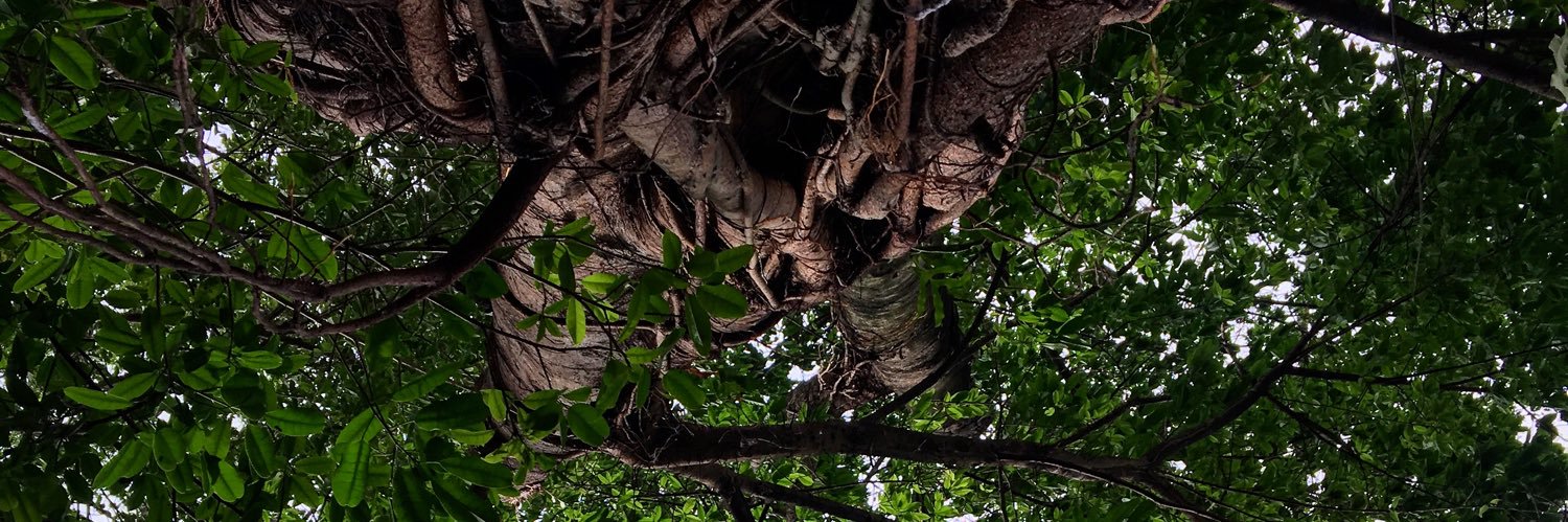 otakardus's profile banner image