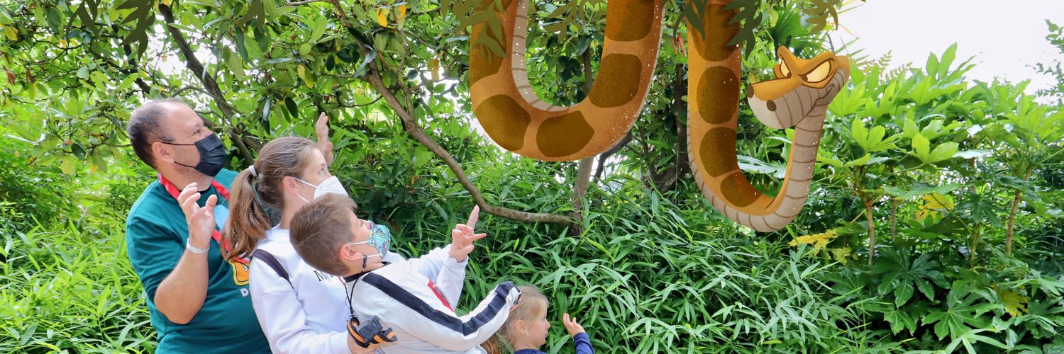 TortosaMarcos's profile banner image