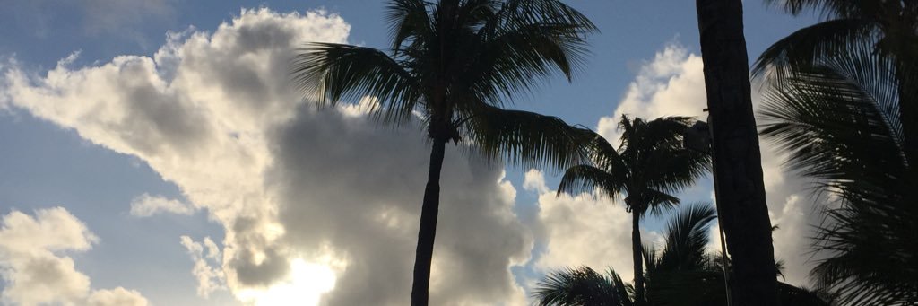 Els_Pontin's profile banner image