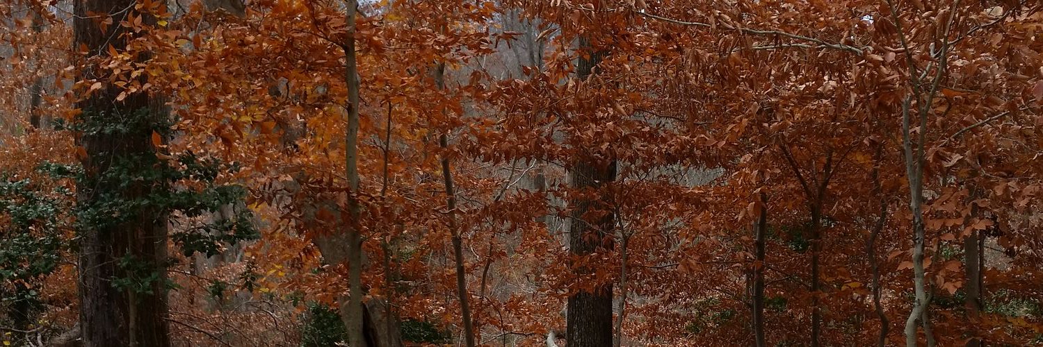 scott weisiger banner